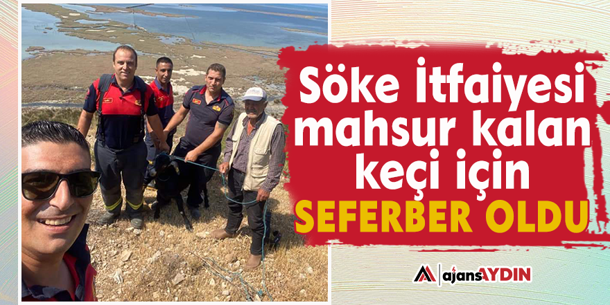 Söke İtfaiyesi mahsur kalan keçi için seferber oldu