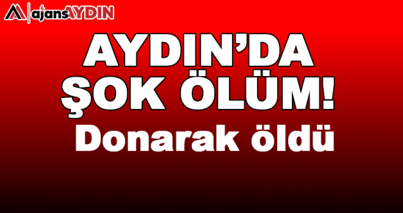 Aydın'da şok ölüm
