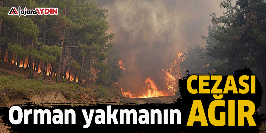 Orman yakmanın cezası ağır