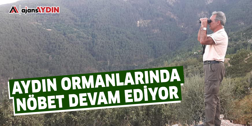 Aydın ormanlarında nöbet devam ediyor