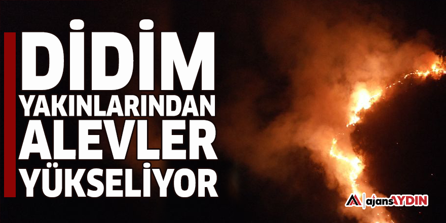 Didim yakınlarından alevler yükseliyor