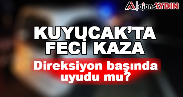 Direksiyon başında uyudumu