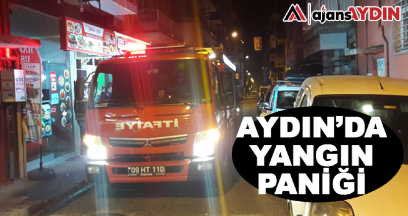 Aydın'da yangın paniği