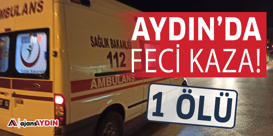 Aydın'da feci kaza