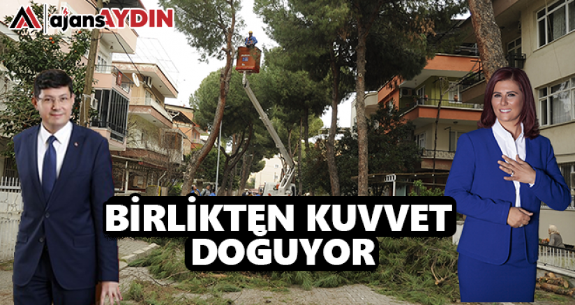 Birlikten kuvvet doğuyor