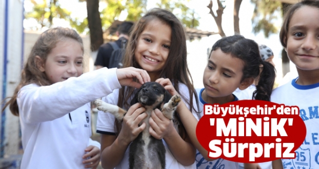 Büyükşehir'den 'MİNİK' Sürpriz