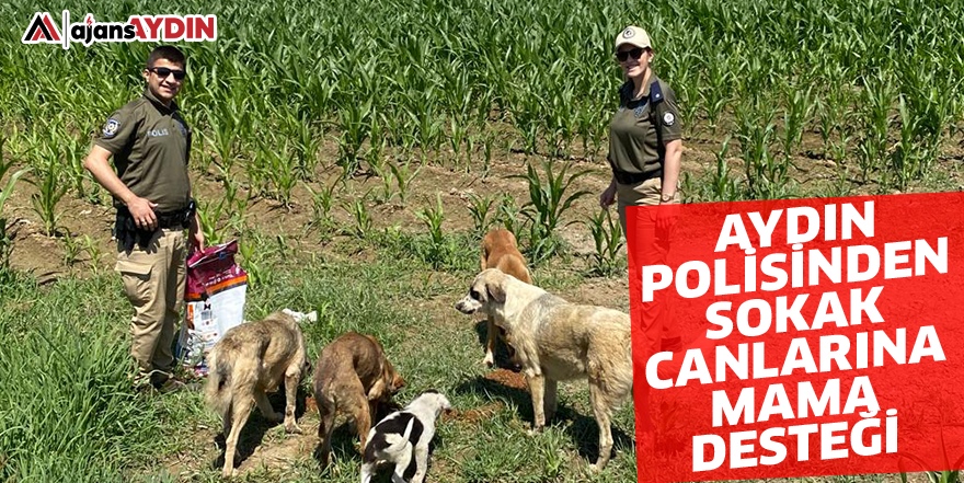 Aydın polisinden sokak canlarına mama desteği