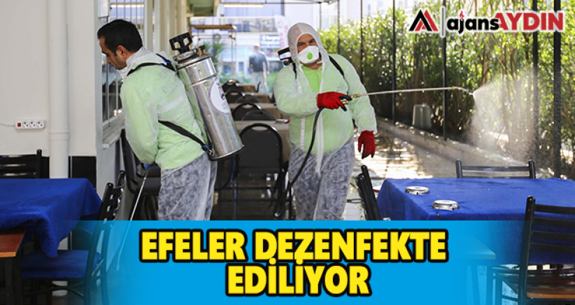 Efeler dezenfekte ediliyor