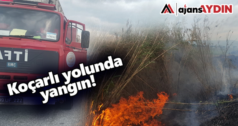 Sazlık alanda korkutan yangın