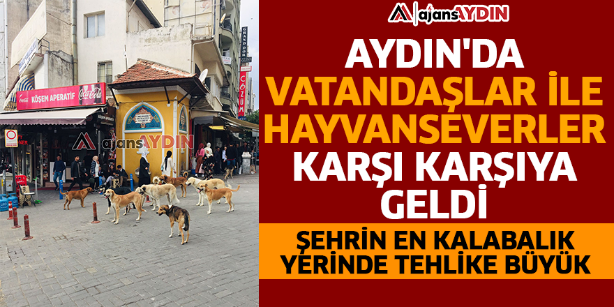 Aydın'da vatandaşlar ile hayvanseverler karşı karşıya geldi