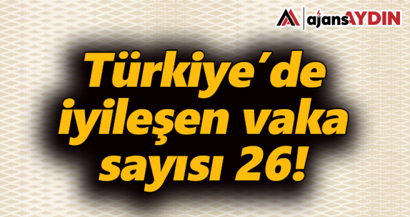 Türkiye'de iyileşen vaka sayısı 26