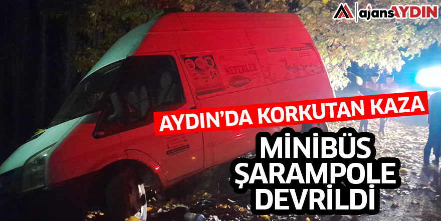 Aydın'da minibüs şarampole devrildi