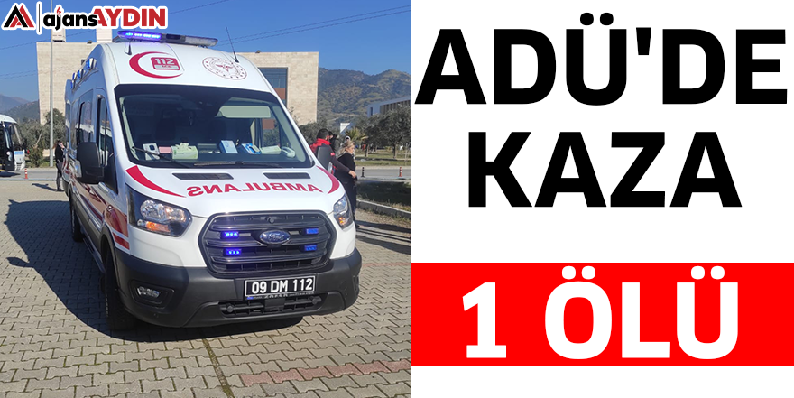 ADÜ'de kaza