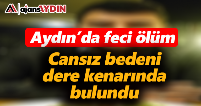 Aydın'da feci ölüm