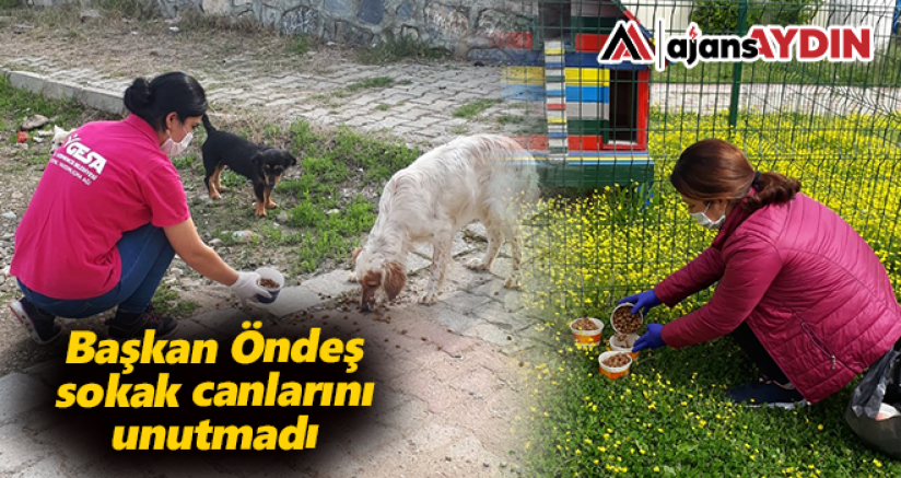 Başkan Öndeş Sokak Canlarını Unutmadı