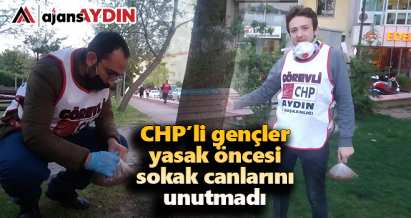 CHP'li gençler yasak öncesi sokak canlarını unutmadı