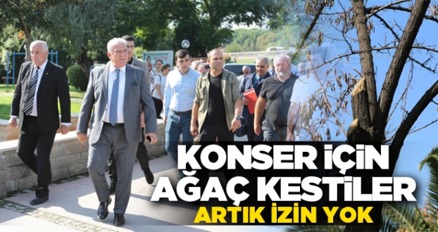 KONSER İÇİN AĞAÇ KESTİLER