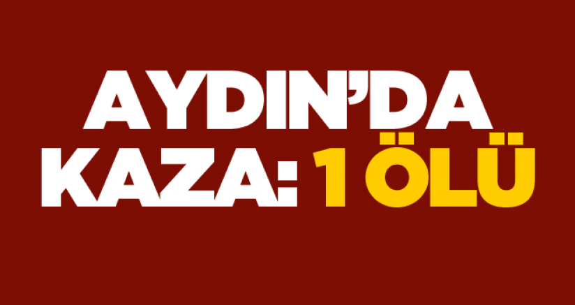 Aydın'da kaza: 1 ölü
