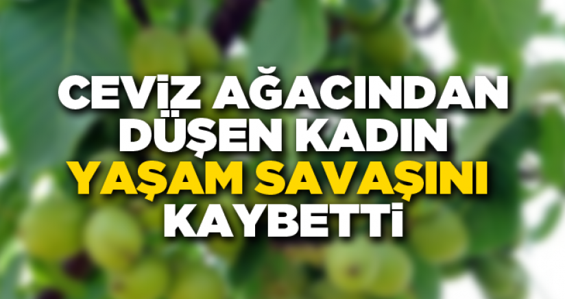 Aydınlı kadın ağaçtan düştü