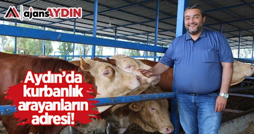Aydın da kurbanlık arayanların adresi!