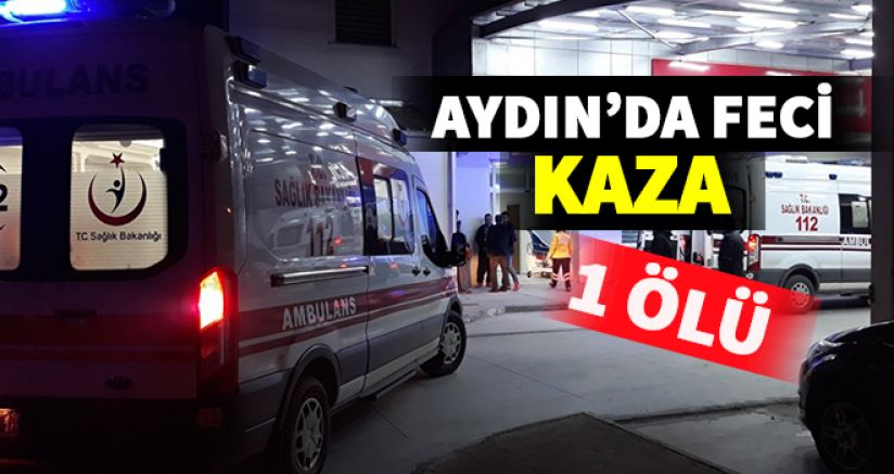 Aydın'da Yasa Boğan Kaza