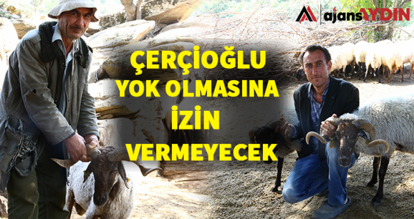 Çerçioğlu yok olmasına izin vermeyecek