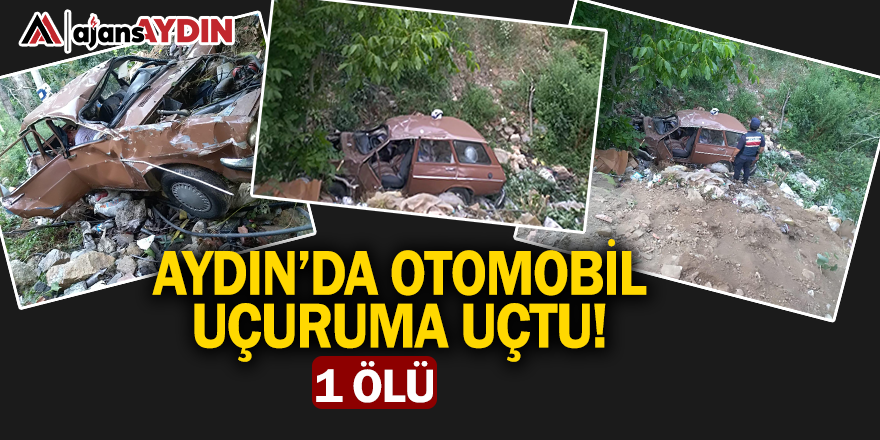 Aydın'da otomobil uçuruma yuvarlandı