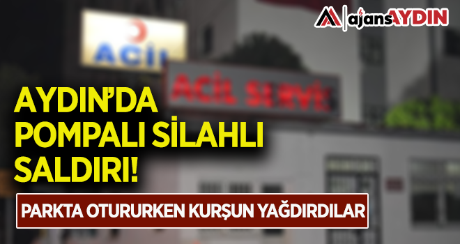 Aydın'da pompalı silahlı saldırı
