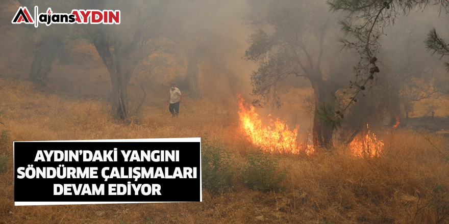 Aydın'daki yangını söndürme çalışmaları devam ediyor