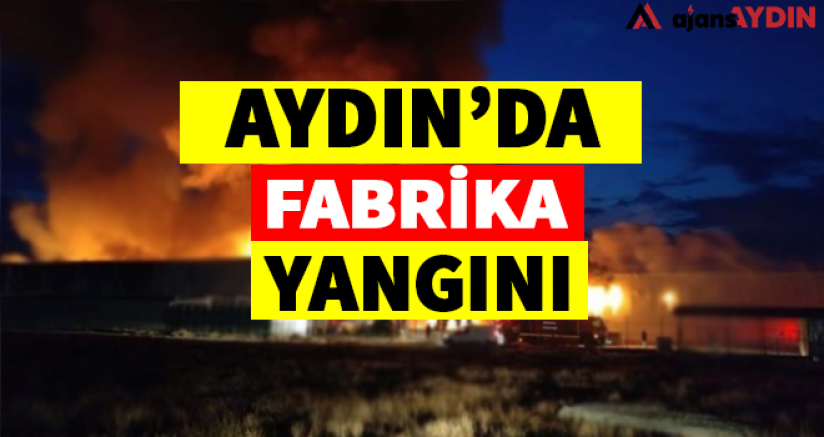 Aydın'da Fabrika Yangını