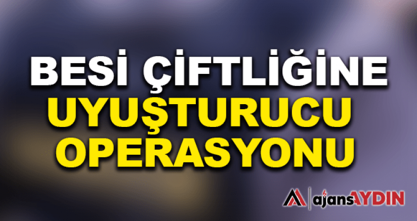 Besi çiftliğine uyuşturucu operasyonu