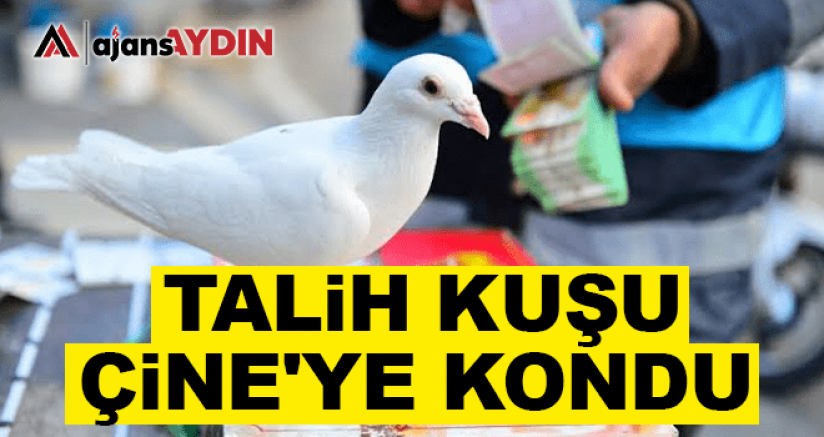 TALİH KUŞU ÇİNE'YE KONDU