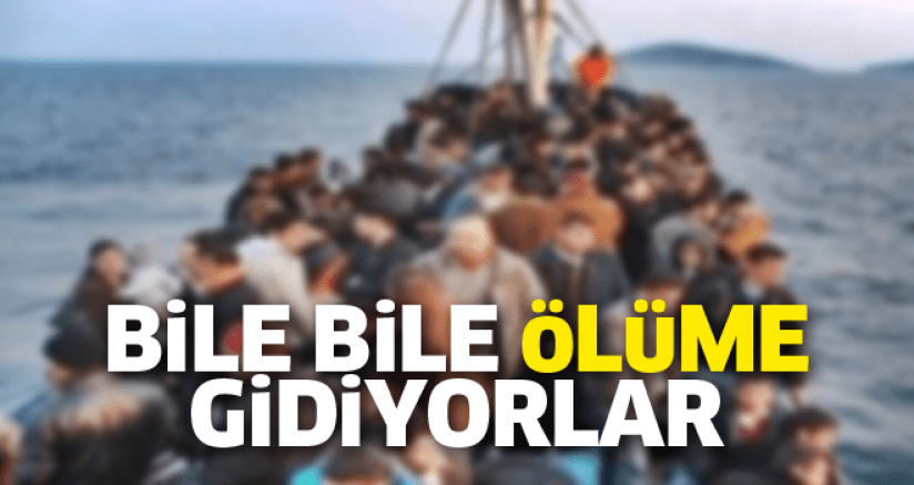 Bile Bile Ölüme Gidiyorlar