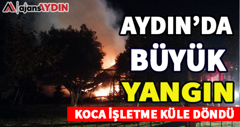 Aydın'da büyük yangın