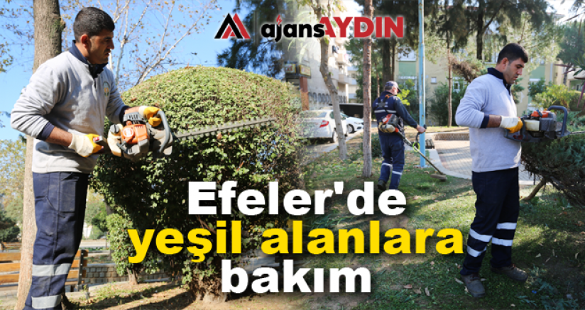 Efeler'de yeşil alanlara bakım