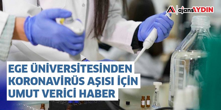 EGE ÜNİVERSİTESİNDEN KORONAVİRÜS AŞISI İÇİN UMUT VERİCİ HABER