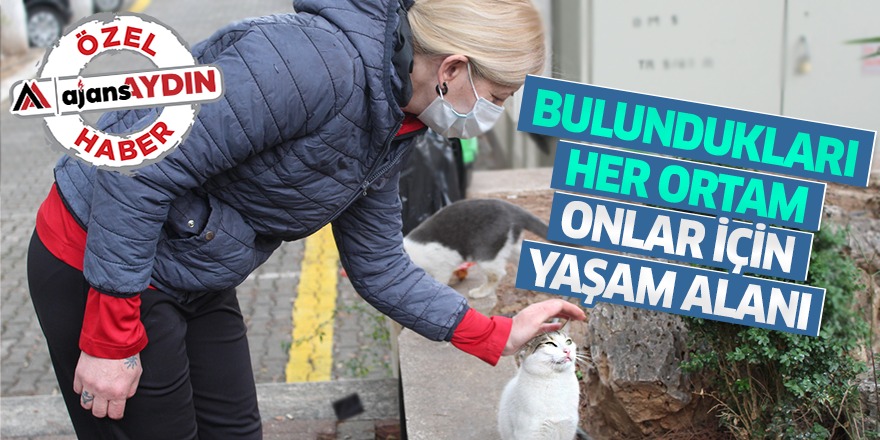 BULUNDUKLARI HER ORTAM ONLARIN YAŞAM ALANI