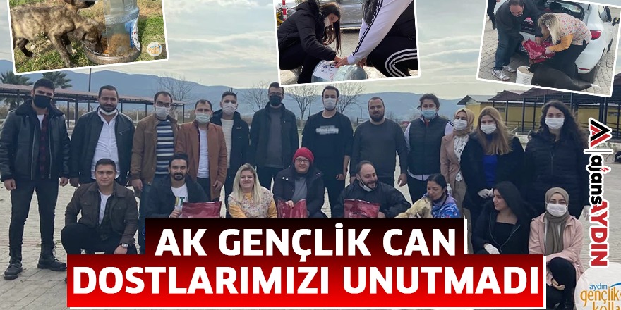 AK GENÇLİK CAN DOSTLARIMIZI UNUTMADI