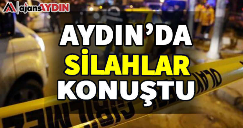 Aydın'da silahlar konuştu