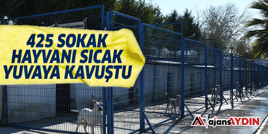 425 SOKAK HAYVANI SICAK YUVAYA KAVUŞTU