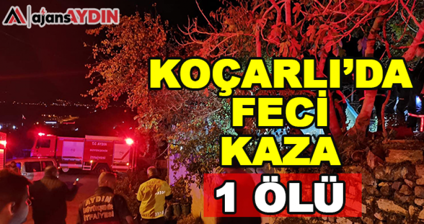 Aydın'da feci kaza 1 ölü