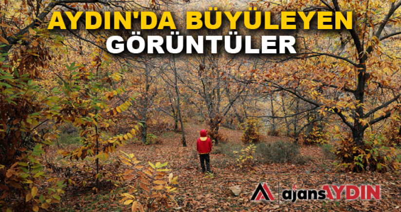 AYDIN'DA BÜYÜLEYEN GÖRÜNTÜLER
