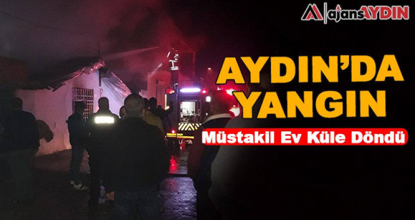 Aydın'da yangın