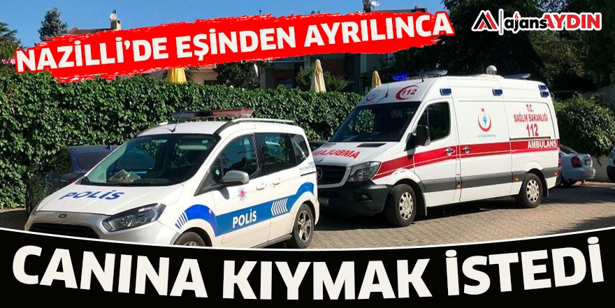 NAZİLLİ'DE EŞİNDEN AYRILINCA CANINA KIYMAK İSTEDİ