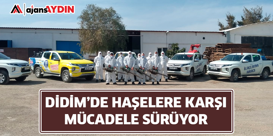 DİDİM’DE HAŞELERE KARŞI MÜCADELE SÜRÜYOR