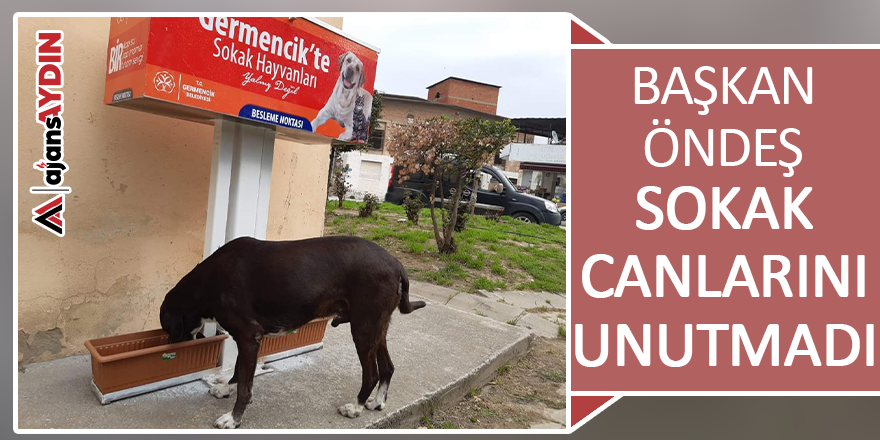 Başkan Öndeş sokak canlarını unutmadı