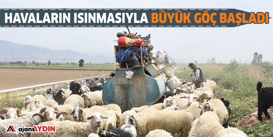 HAVALARIN ISINMASIYLA BÜYÜK GÖÇ BAŞLADI