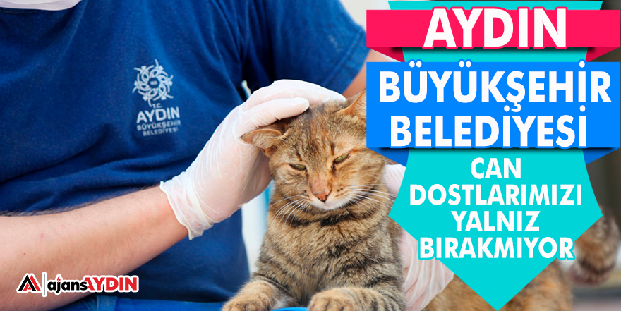 AYDIN BÜYÜKŞEHİR BELEDİYESİ CAN DOSTLARIMIZI YALNIZ BIRAKMIYOR
