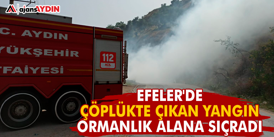 EFELER'DE ÇÖPLÜKTE ÇIKAN YANGIN ORMANLIK ALANA SIÇRADI