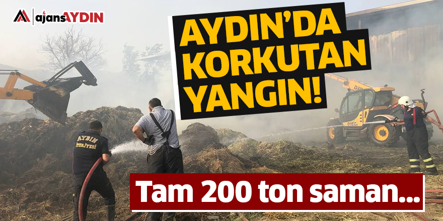 Aydın'da korkutan yangın!